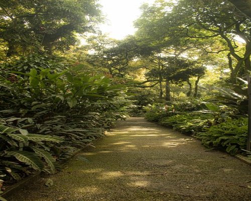calm walk through a Colombian urban park